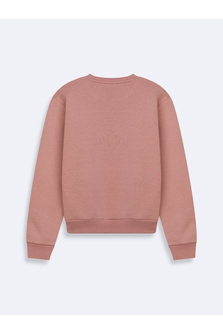 Ltb Pembe Sweatshırt 011268110761196 14375 Pembe