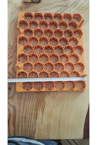 Gelişim viyolu 54 lü Tavuk