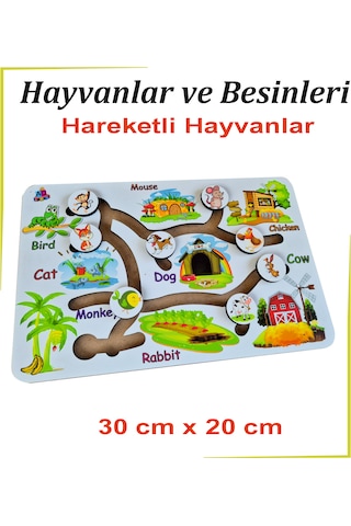 Beyaz Hareketli Hayvanlar Ve Besinleri
