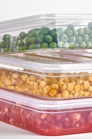 DeepFreezer Organizer Saklama Kabı Büyük (2.4 LT)(6 Adet)