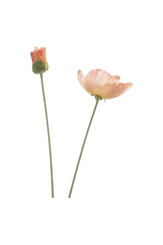 T.concept Büyük Pembe Gelincik Hanghuı-009