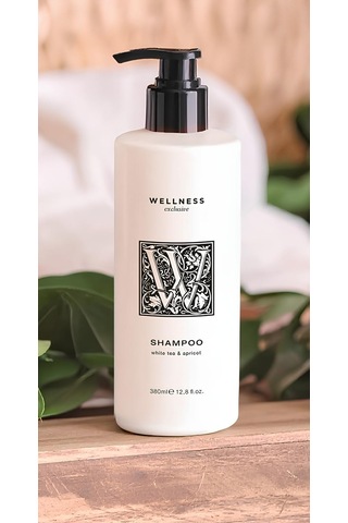 Wellness Exclusive White Tea & Apricot Shampoo 380 Ml + Conditioner 380 Ml + Shower Gel 380 Ml + Hand Wash 380 Ml Tüm Saçlar