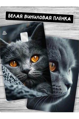 Stadi Kedi Kartı İçin Bant Kedi Şalı Şeklinde Yapışkanlı Etiket Veya Kedi Baskılı Yapışkanlı Kart Kılıfı 388856396