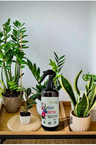 Biosas Home Sıvı Bitki Besini 500ml Fısfıs 500 ML