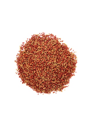 Gold Mix Granulat 6x100ml Japon Balık Yemi ve Vitamini