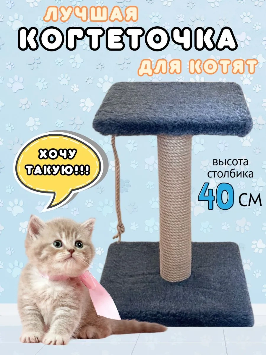 Mr Cat Yavru Kediler İçin Tırmalama Direği 343531754