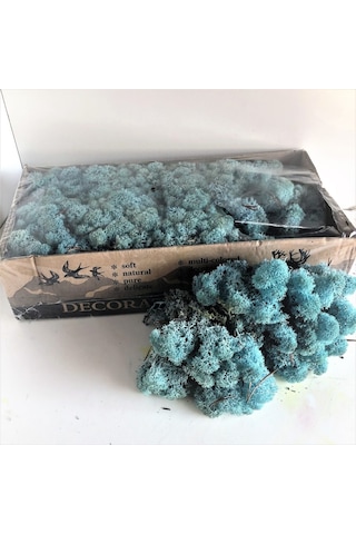 Reindeer moss AQUAMARİNE(TURKUAZ) şoklanmış norveç yosunu