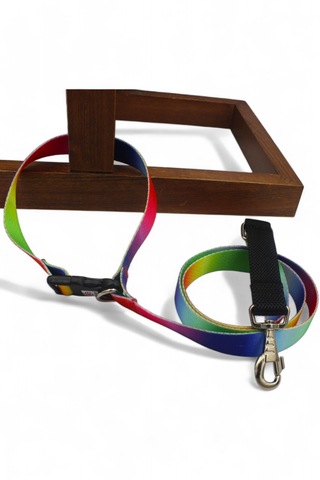 Caramelos Köpek Gezdirme Tasması, Bağlama Kilitli, Anti Shock 4 Çok Renkli