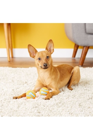 Chuckit 2'li Köpek Tenis Oyun Topu Orta Boy 6.4 CM