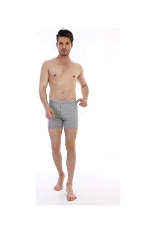 Çift Kaplan 880 Elastanlı Erkek Boxer Gri