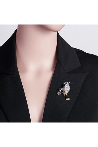 Kadın Broş Seti, Kristal Şal Klipsleri, Kadınlar İçin Güvenlik Br Çok Renkli