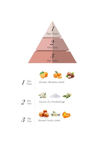 Prova Olivia Kadın Parfüm EDP 100 ML