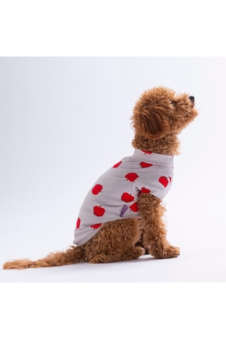 Apple Pop Elma Desenli Kedi Köpek Sweati - Kedi Köpek Kıyafeti-kedi Köpek Sweati