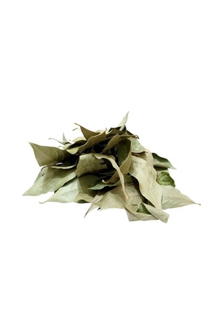 Lokman Defne Yaprağı 80 G