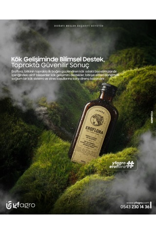 Yf Agro Eroflora 100 ML