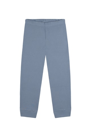 Antebies Organik Mavi Erkek Çocuk Pijama Takımı Renkli