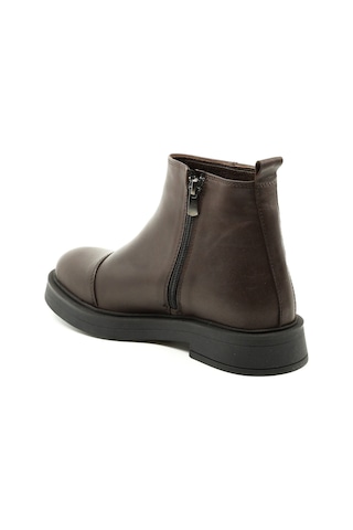 Dexter Tp812-26 Renkli Çok Renkli