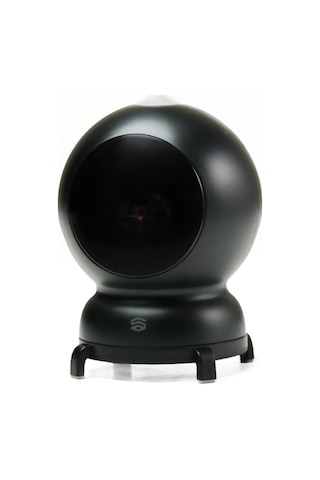 Şımart Akıllı Kedi Oyuncağı