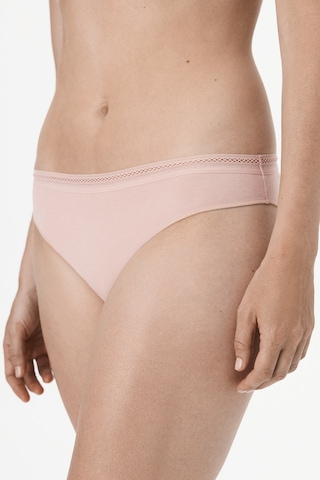 Penti Easy Pamuklu Slip Külot A.gul Kurusu