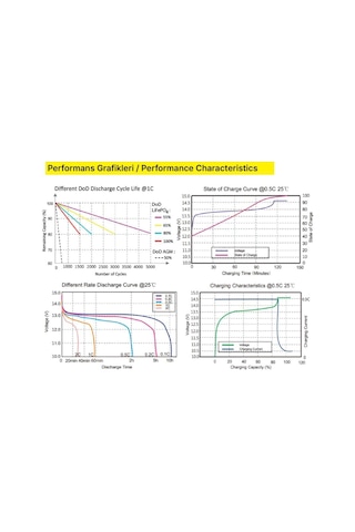 Gesper Energy 12v-100ah Lifepo4 Batarya