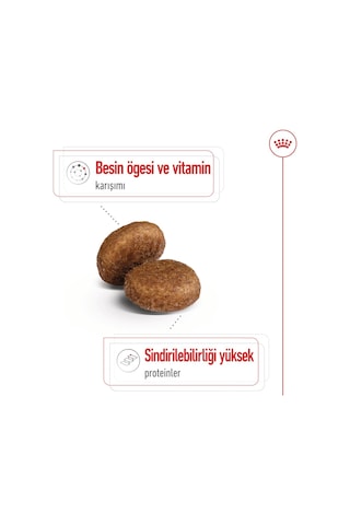 Royal Canin Shn Maxi Mature +5 Yaşlı Köpek Maması 15 KG