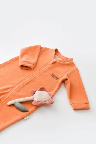 BabyCosy Bebek Kadife Fermuarlı Tulum, %80 Organik Pamuk, Bebek Ve Yenidoğan Serisi - Csyk6030 Karışık