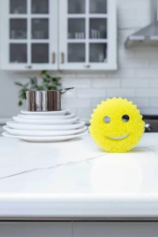 River World 2'li Set Bulaşık İçin Sünger Gülen Yüz