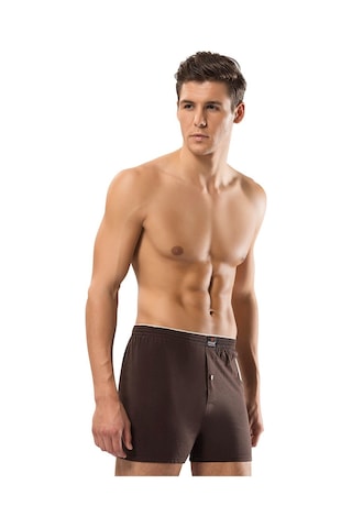 Erdem Kahverengi Penye Boxer 1400 Kahverengi