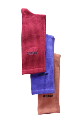 Jepublic Erkek Çorap-j220819 Çok Renkli