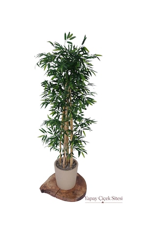Yapay Çiçek Sitesi Bohem Saksıda Yapay 7 Gövdeli Bambu Ağacı 180 Cm Yeşil