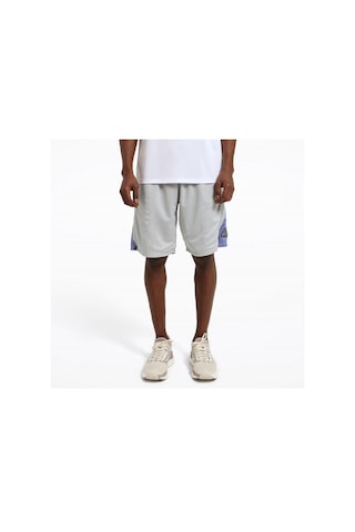 Reebok Atr Hoopwear Erkek Gri Şort Gri