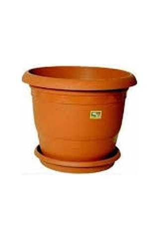 16.5 Cm Kaliteli Çiçek Saksısı Ve Saksı Altlığı + Süpriz Hediye