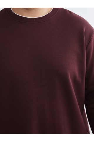 Lcw Vision Bordo Bisiklet Yaka Erkek Kalın Sweatshirt
