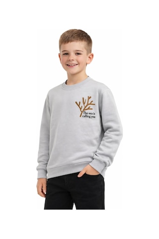 Baglan Erkek Çocuk Önü Baskılı Sweatshirt Bgl-st05238 Gri