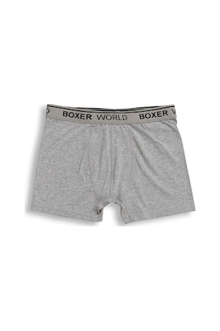 Orbis 3'lü Erkek Likralı Boxer 14100-B3