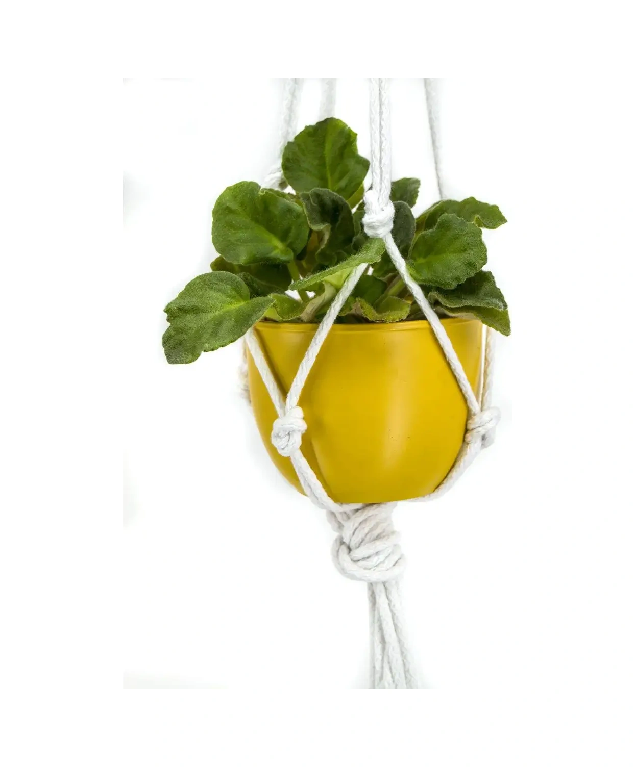 Brat'a Zoriny Çiçekler İçin Asılı Saksı H0,5/15 146071527