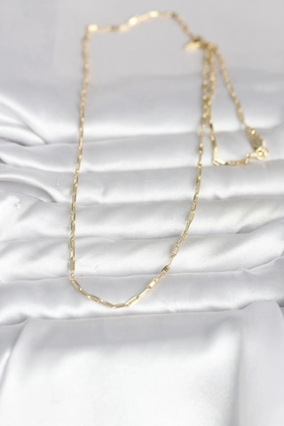 Ceylan Adam Cm 14k Gold Renk İnce Ataç Zincir Model 60 Cm Kadın Kolye Çok Renkli