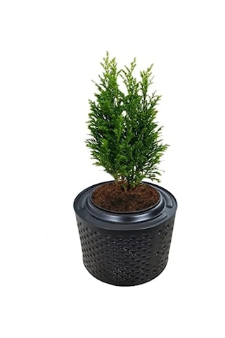 Fırınlanmış Metal Büyük Saksı - 33-38 Cm Yükseklik, 45-55 Cm Çap