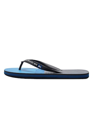 Quiksilver Molokaı Wordblock Mavi Erkek Terlik 000000000101605837 42 Siyah