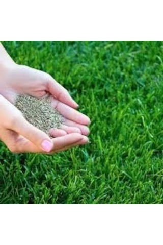 7 Li Karışım Dayanıklı Çim Tohumu 5 Kg