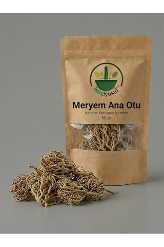 İxirciyusuf Meryem Ana Otu Meryem Ana Eli Diriliş Bitkisi Rose Of Jericho Selaginella Lepidophylla Doğal 50 G