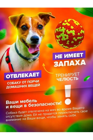 Petfort Köpekler İçin Çiğneme Oyuncağı, Süper Dayanıklı Top 159440581