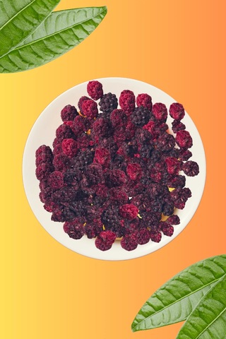 Freezya Freeze Dried Dondurularak Kurutulmuş Böğürtlen 15 G