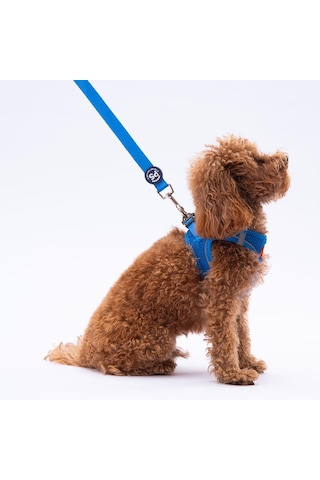 Pawstar Mavi Leash Kedi Köpek Sevk & Gezdirme Kayışı Köpek Uzatma Tasması Mavi