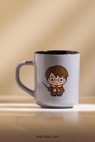 Harry Potter 2'li Kupa Seti 250 Cc Çok Renkli