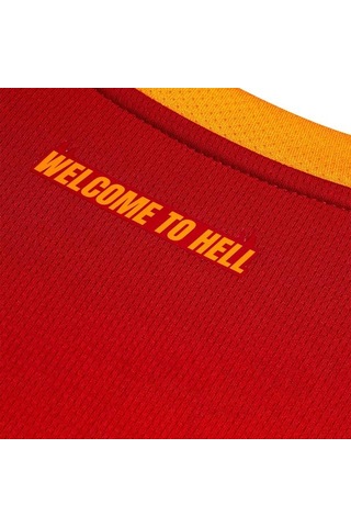Puma Galatasaray 26/27 Çocuk İç Saha Parçalı Forma Çok Renkli