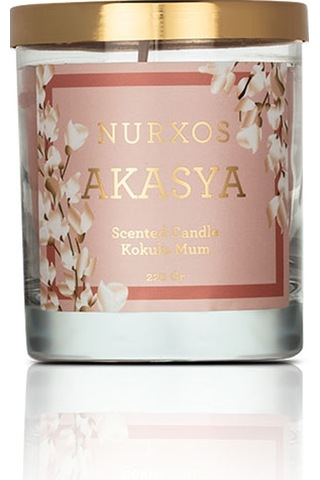 AKASYA Kokulu Mumlar 9657