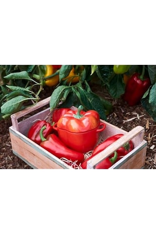 Staub Zwilling/ - Ceramic - Paprika Cocotte - Seramik - Y: 10,7 C Diğer