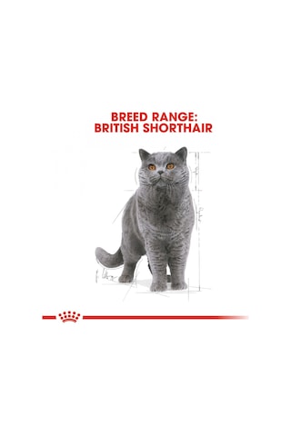 Royal Canin British Shorthair Adult Pouch Yetişkin Kedi Yaş Maması 85 G