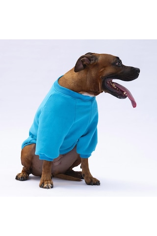 Turkuaz Carmel Büyük Irk Köpek Sweat-köpek Kıyafeti